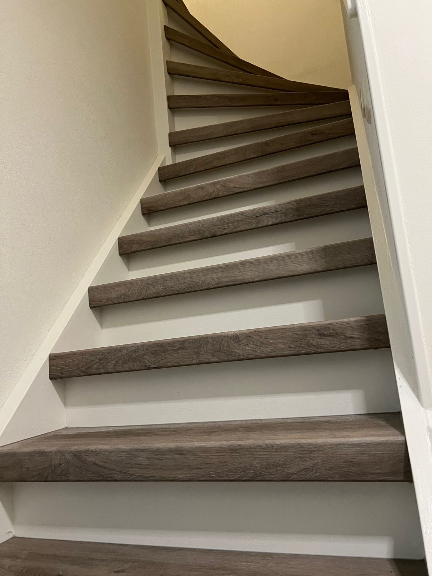 Trap smoked oak · Breda